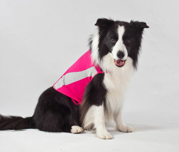 Thundershirt Dog Pink, XLarge