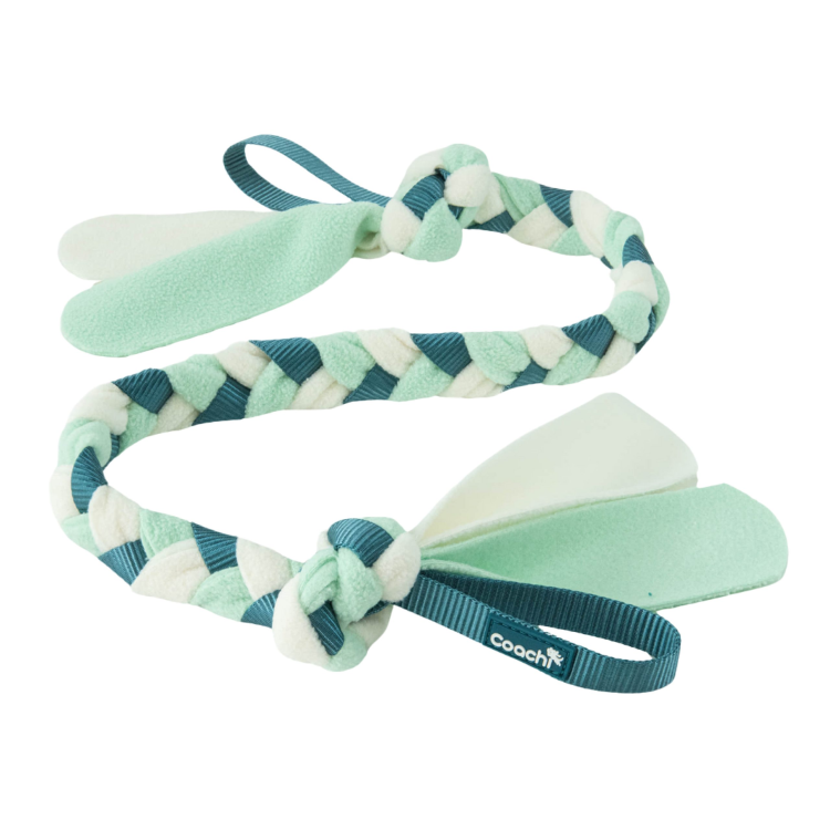 Coachi Puppy & Mini Tuggi Tug Teal & Mint