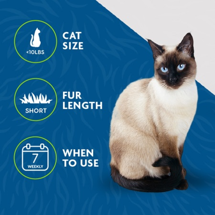 FURminator Undercoat deShedding Tool – Small Cat, Short Hair