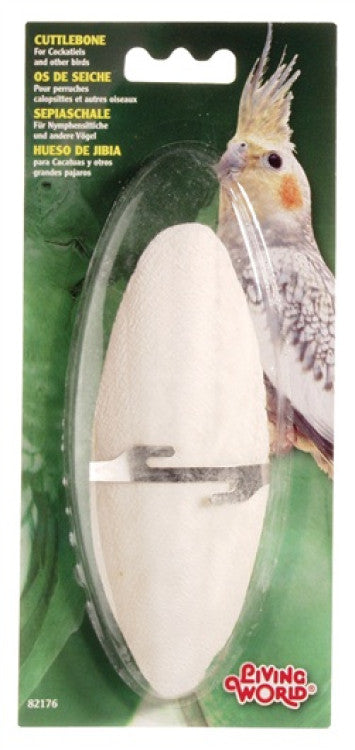 Cuttlebone White, Large
