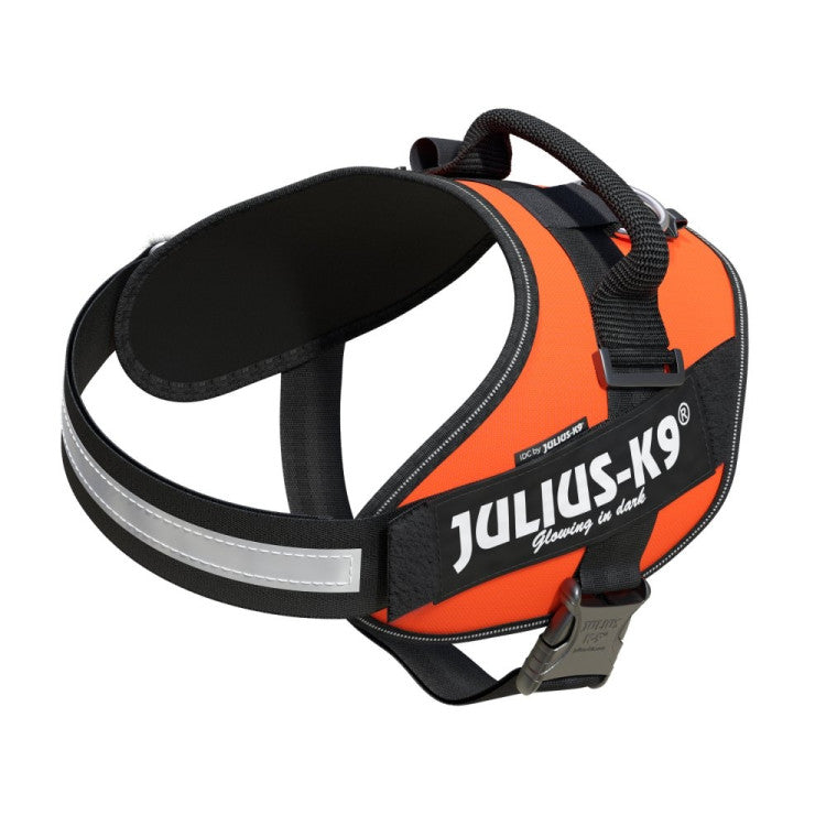 IDC High Visibility Powerharness UV Orange, Size 2