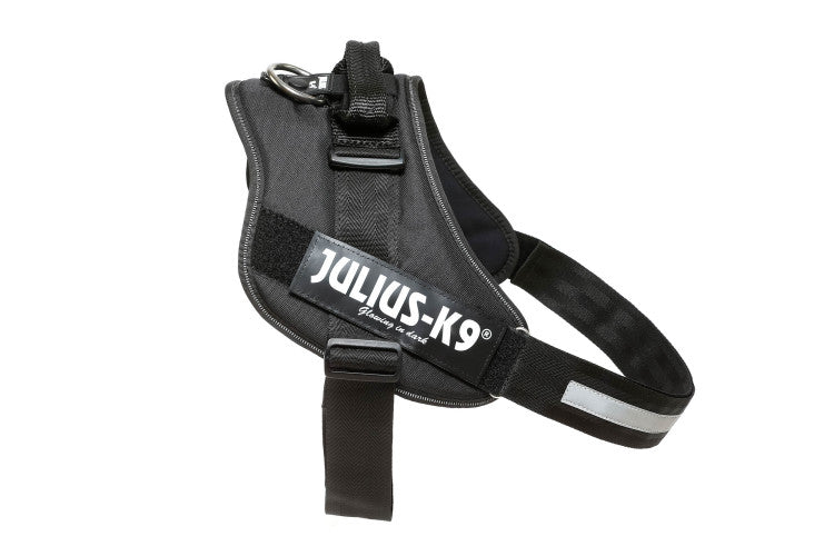 IDC Powerharness Black Size 4