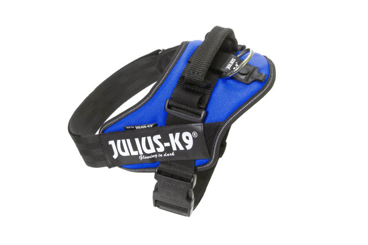 IDC Powerharness Blue Size 1