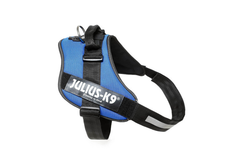 IDC Powerharness Blue Size 4