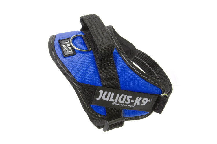IDC Powerharness Blue Size Mini