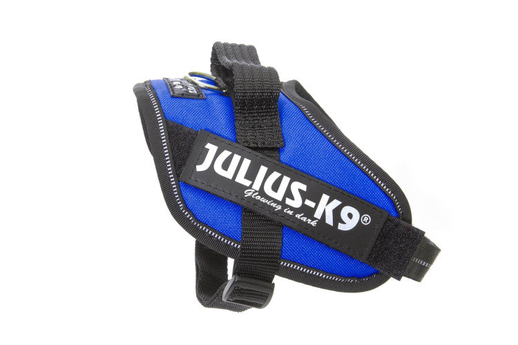 IDC Powerharness Blue Size Mini-Mini