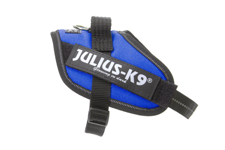 IDC Powerharness Blue Size Mini-Mini