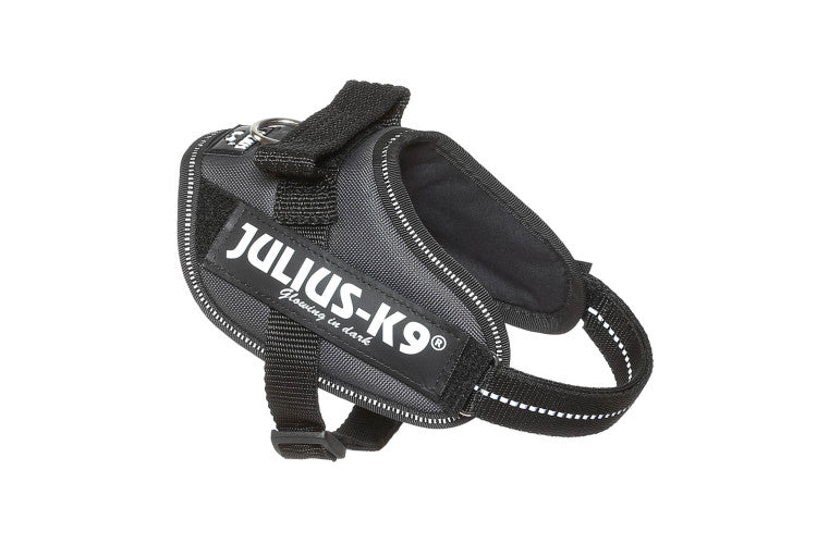 IDC Powerharness Grey Size Mini-Mini