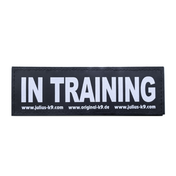 In Training Patch Large