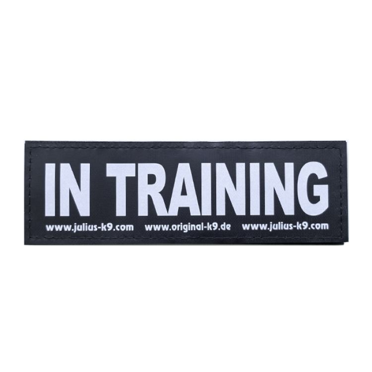 In Training Patch Large