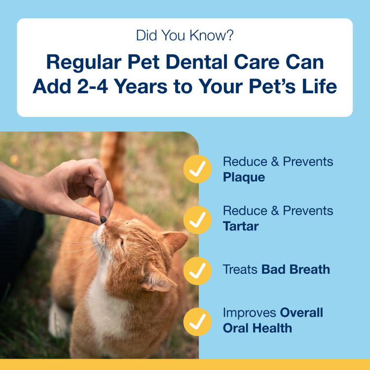 ProDen PlaqueOff Dental Bites for Cats, Salmon Flavour 60 g