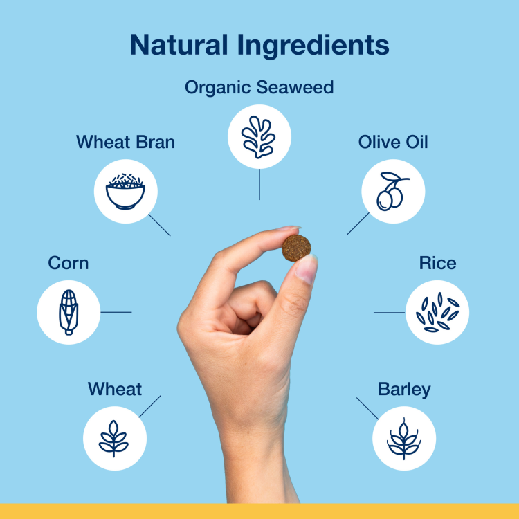 ProDen PlaqueOff Dental Bites for Medium and Large Dogs, Veggie Flavour 150 g