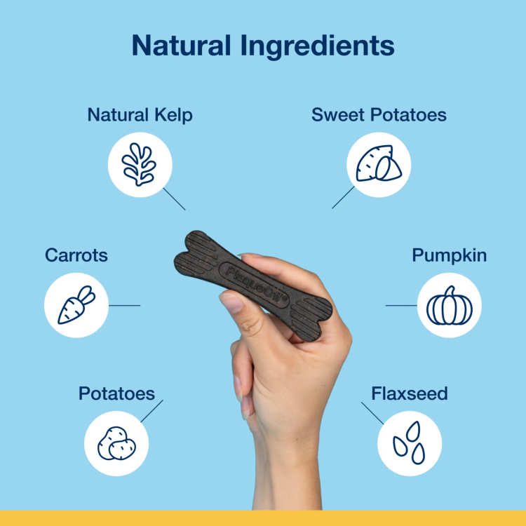 ProDen PlaqueOff Dental Care Bones, Vegetable Fusion 482 g