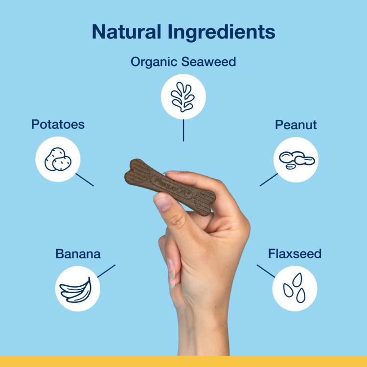 ProDen PlaqueOff Mini Dental Care Bones, Peanut Butter & Banana 340 g