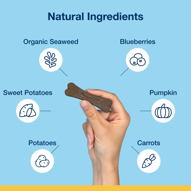 ProDen PlaqueOff Mini Dental Care Bones, Vegetable Fusion & Blueberry 340 g