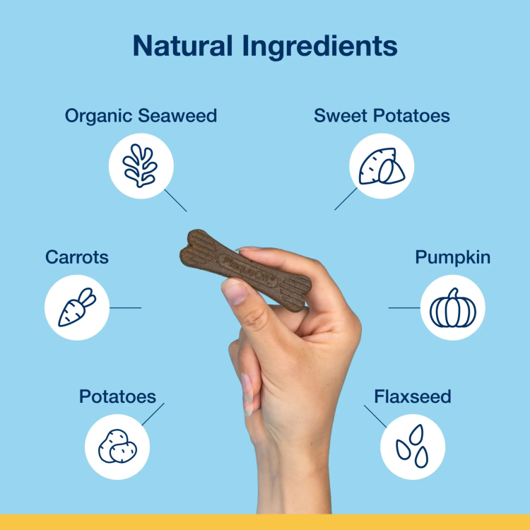 ProDen PlaqueOff Mini Dental Care Bones, Vegetable Fusion 340 g