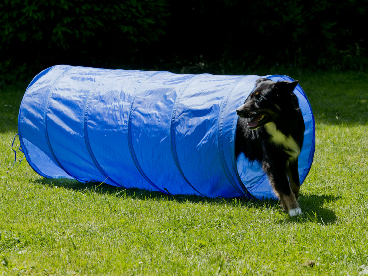 Agility Tunnel 60 cm dia x 152 cm