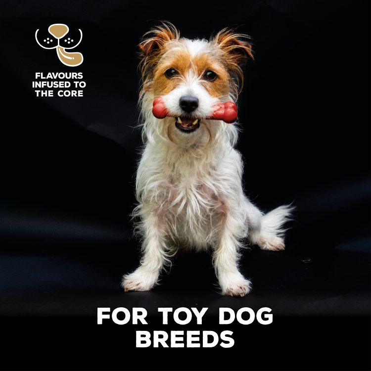 TastyBone Nylon Toy Dog, Beef Flavor