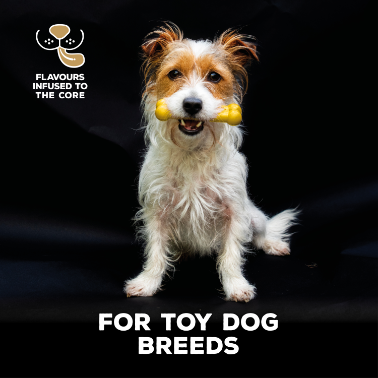 TastyBone Nylon Toy Dog, Chicken Flavor