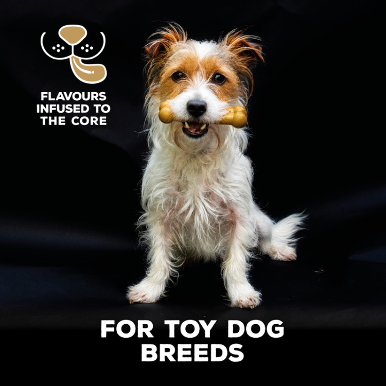 TastyBone Nylon Toy Dog, Peanut Butter Flavor