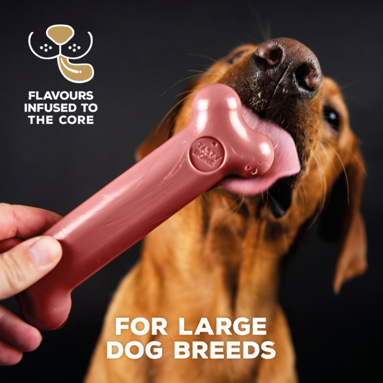 TastyBone Nylon Toy for Large Dogs, Bacon Flavor