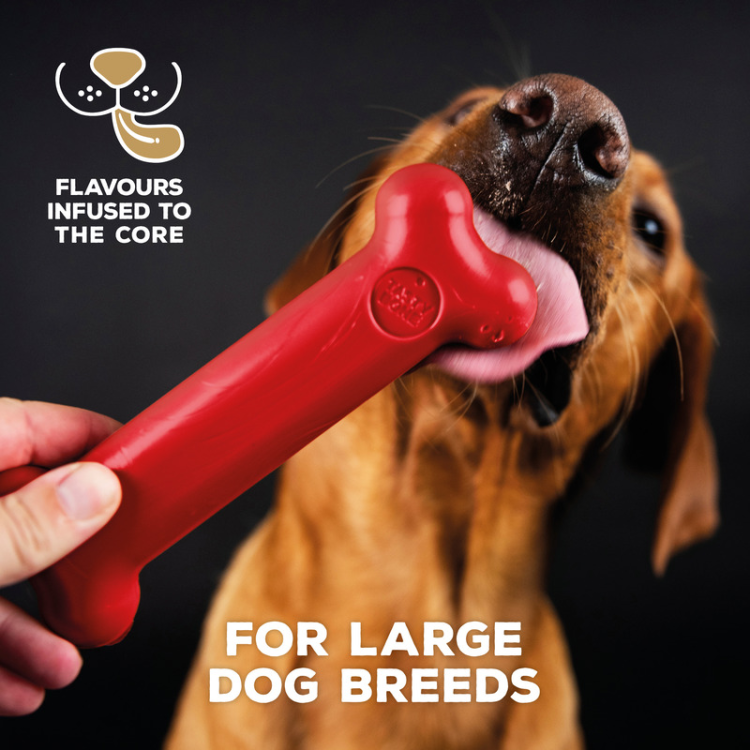 TastyBone Nylon Toy for Large Dogs, Beef Flavor