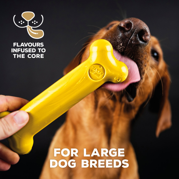 TastyBone Nylon Toy for Large Dogs, Chicken Flavor