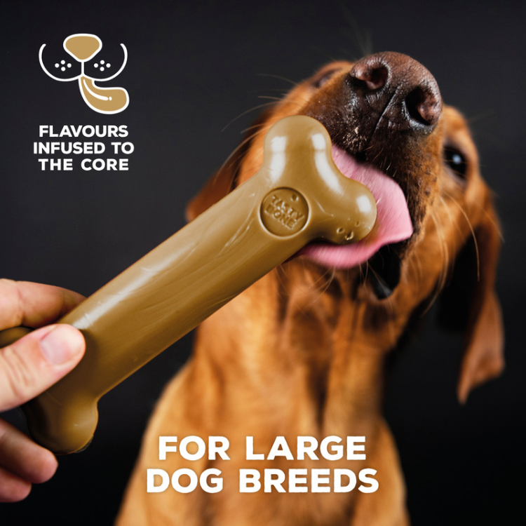TastyBone Nylon Toy for Large Dogs, Lamb Flavor