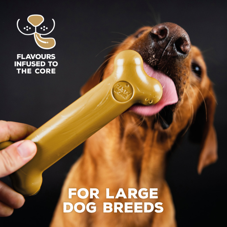 TastyBone Nylon Toy for Large Dogs, Peanut Butter Flavor