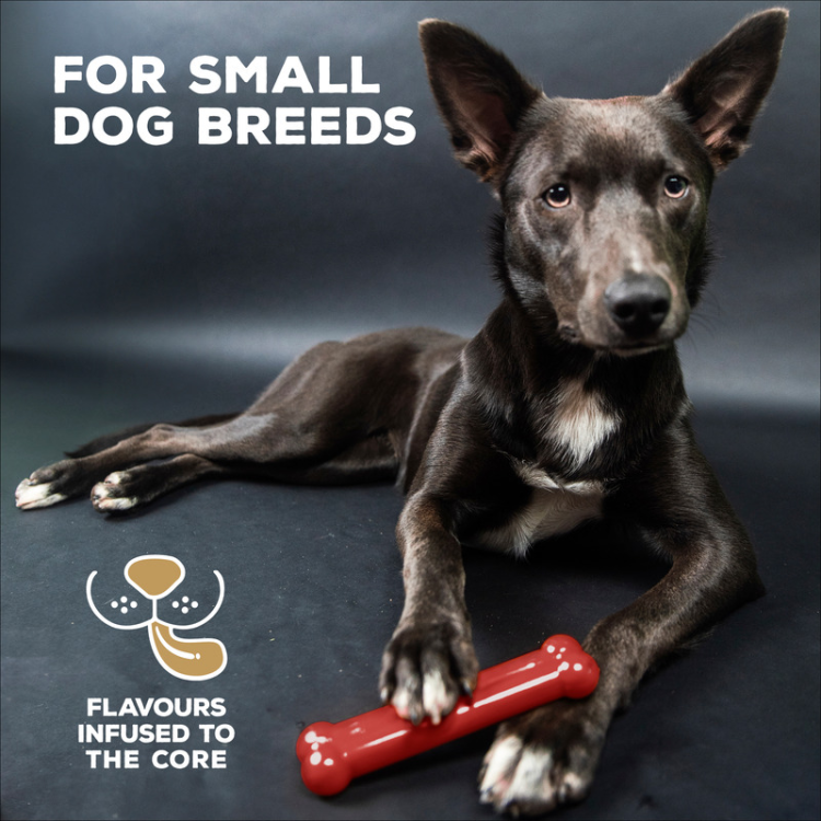 TastyBone Nylon Toy for Small Dogs, Beef Flavor