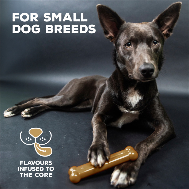 TastyBone Nylon Toy for Small Dogs, Lamb Flavor