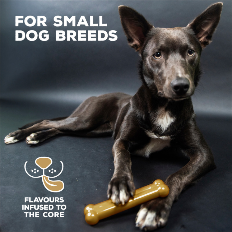 TastyBone Nylon Toy for Small Dogs, Peanut Butter Flavor