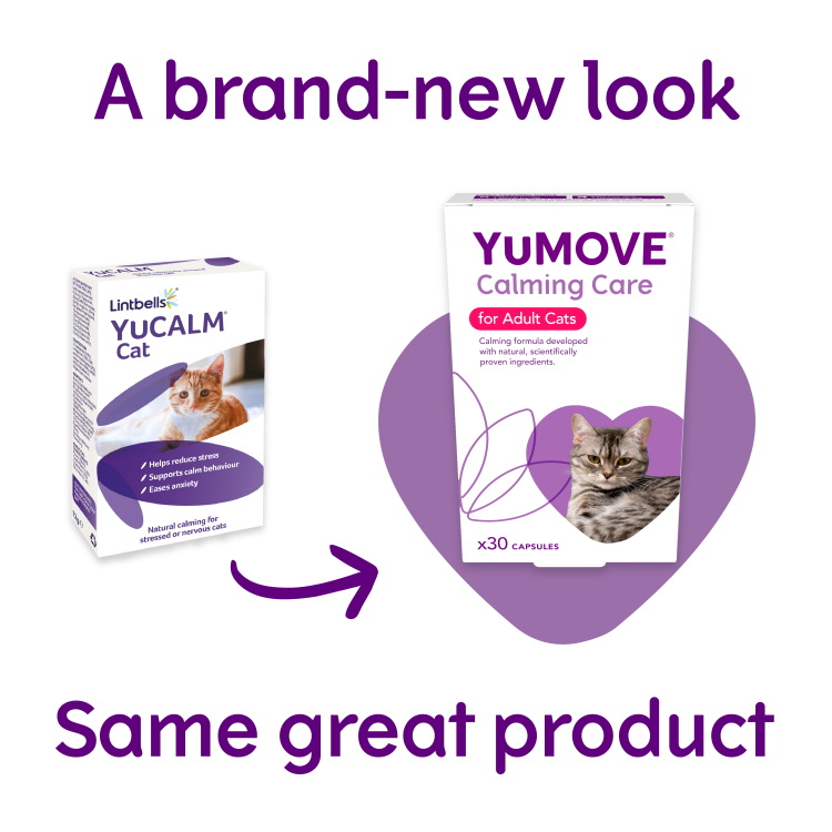 YuMOVE Calming Care for Cats 30 Caps