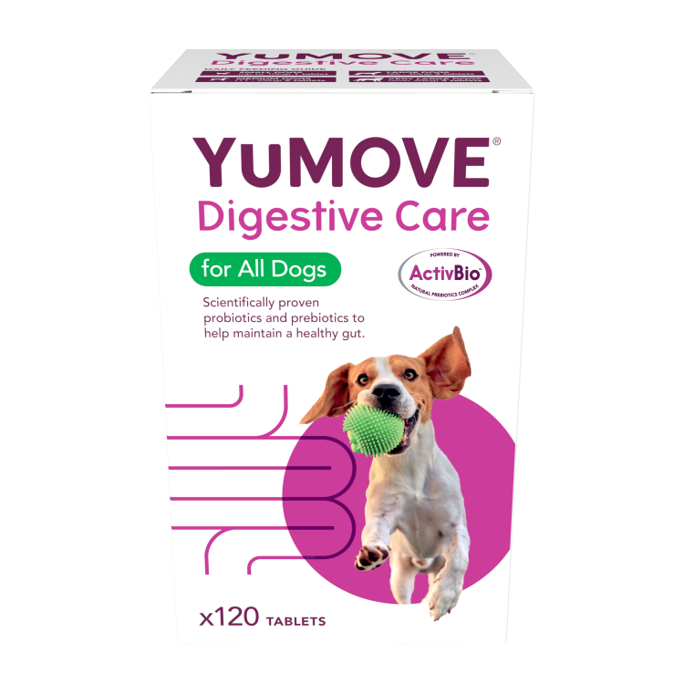 YuMOVE Digestive Care 120 Tabs