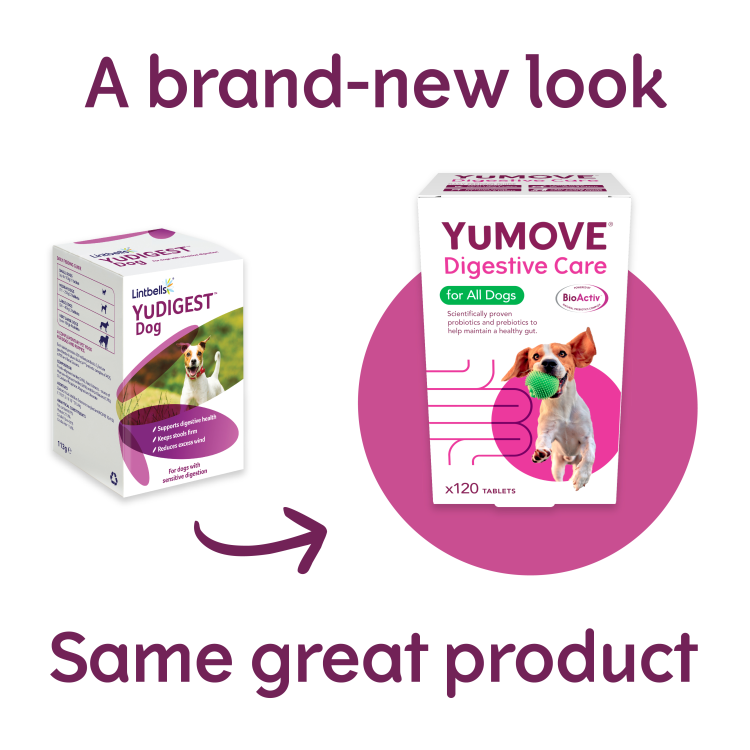 YuMOVE Digestive Care 120 Tabs