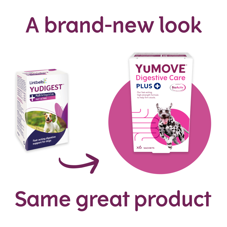 YuMOVE Digestive Care Plus 6 Sachets