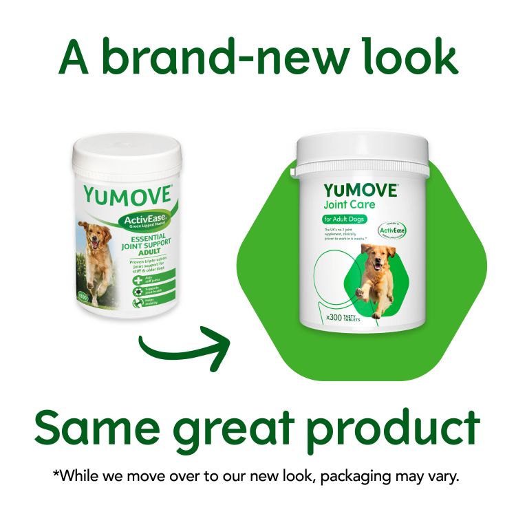 YuMOVE Joint Care for Adult Dogs 300 Tabs