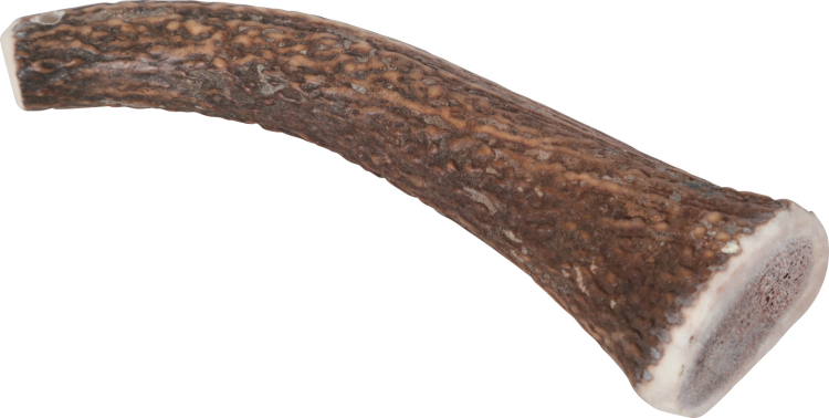 Natural Deer Antler Hard for Dogs Over 20 kg