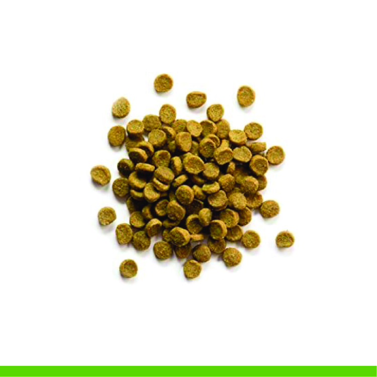 Premium Ferret Diet 4 lbs (1.8 kg)