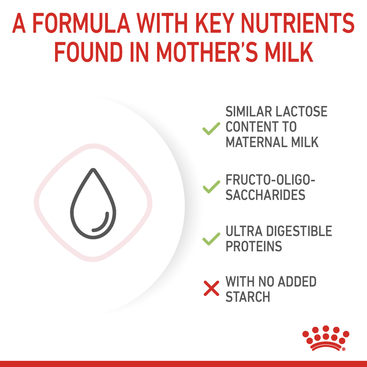 Royal Canin Feline Health Nutrition Babycat Milk 300 g