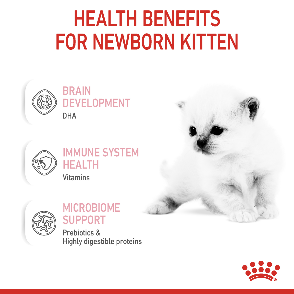 Royal Canin Feline Health Nutrition Babycat Milk 300 g