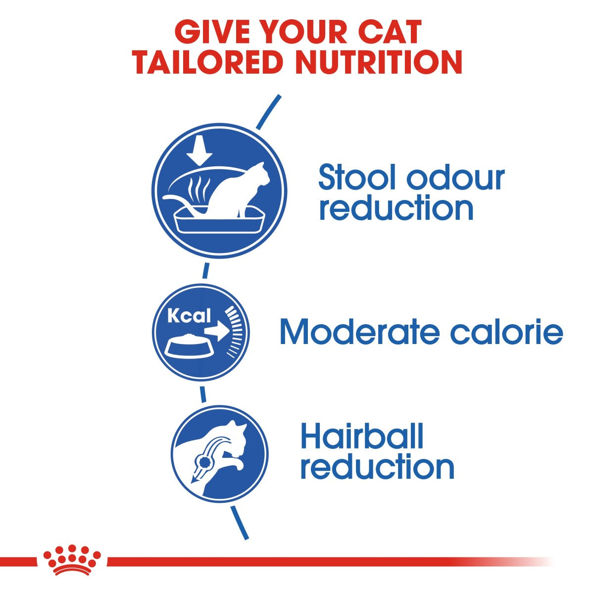 Royal Canin Feline Health Nutrition Indoor 10 kg