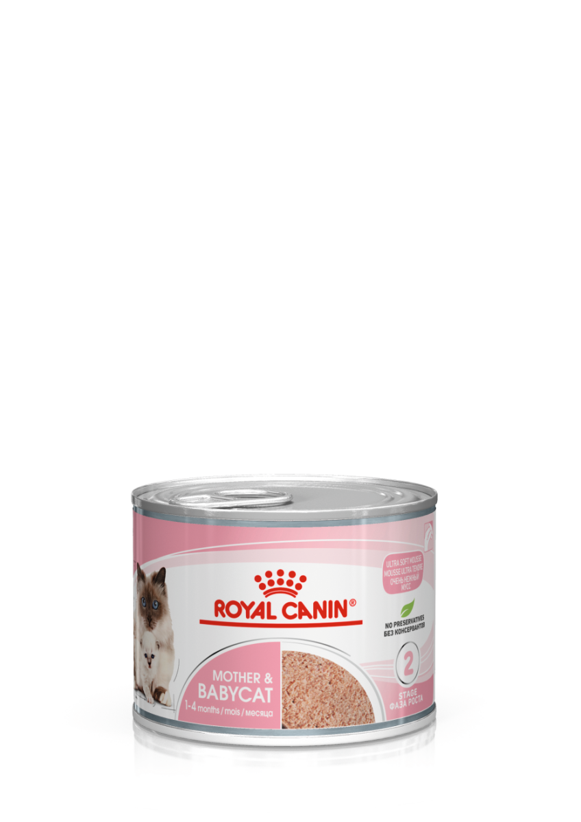 Royal Canin Feline Health Nutrition Mother & Babycat Mousse (Wet Food - Cans) 12 x 195 g