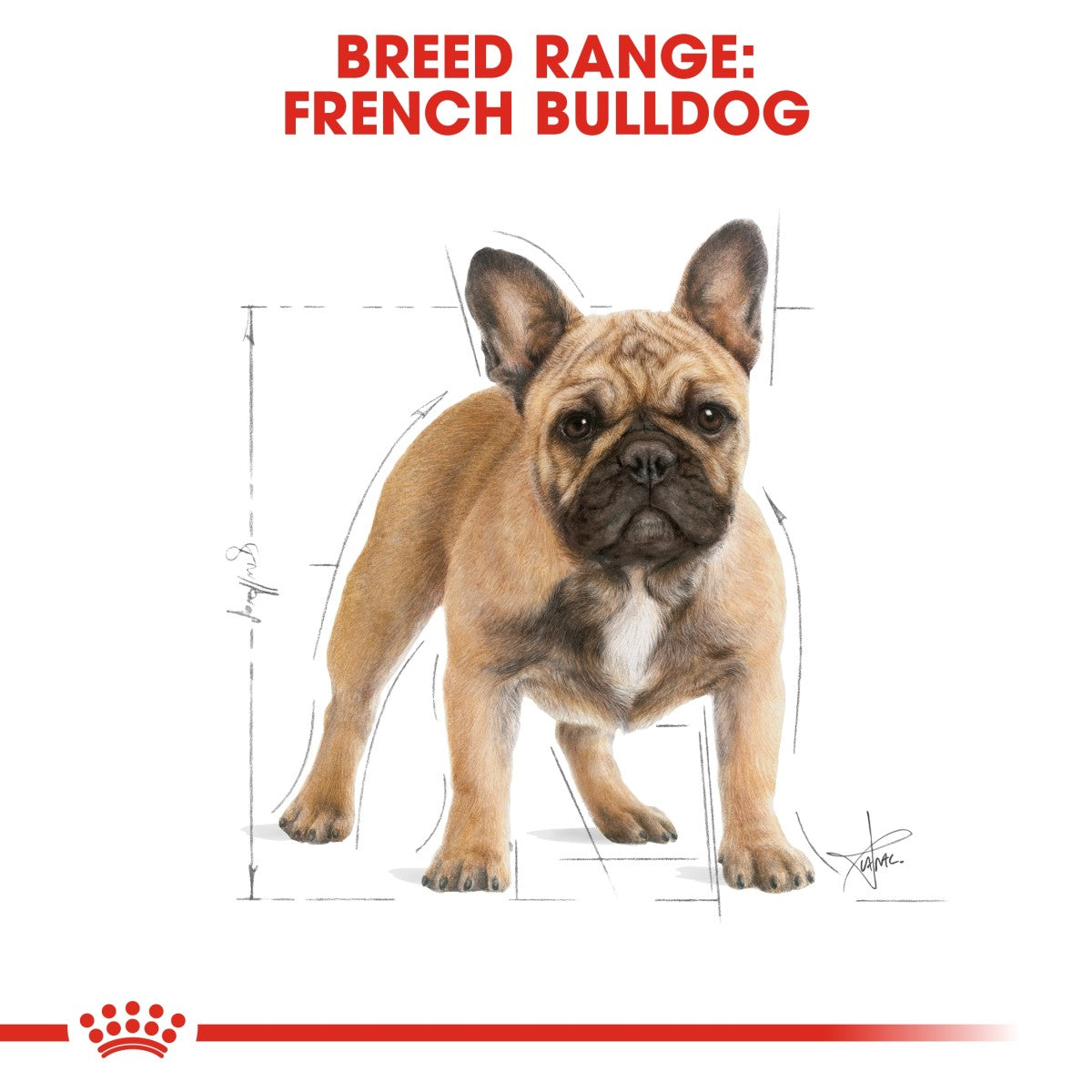 Royal Canin Breed Health Nutrition French Bulldog Adult 3 kg