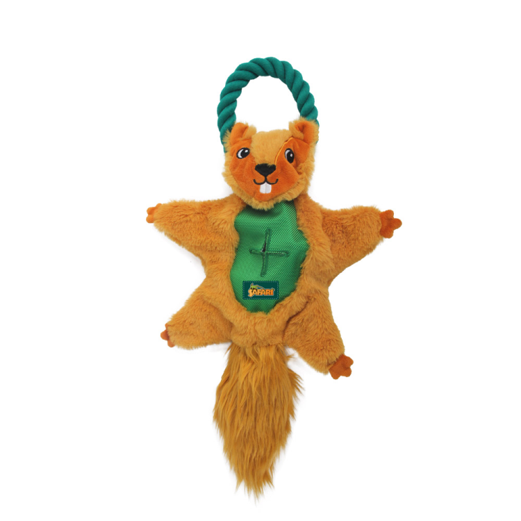 afp Safari Air Squirrel