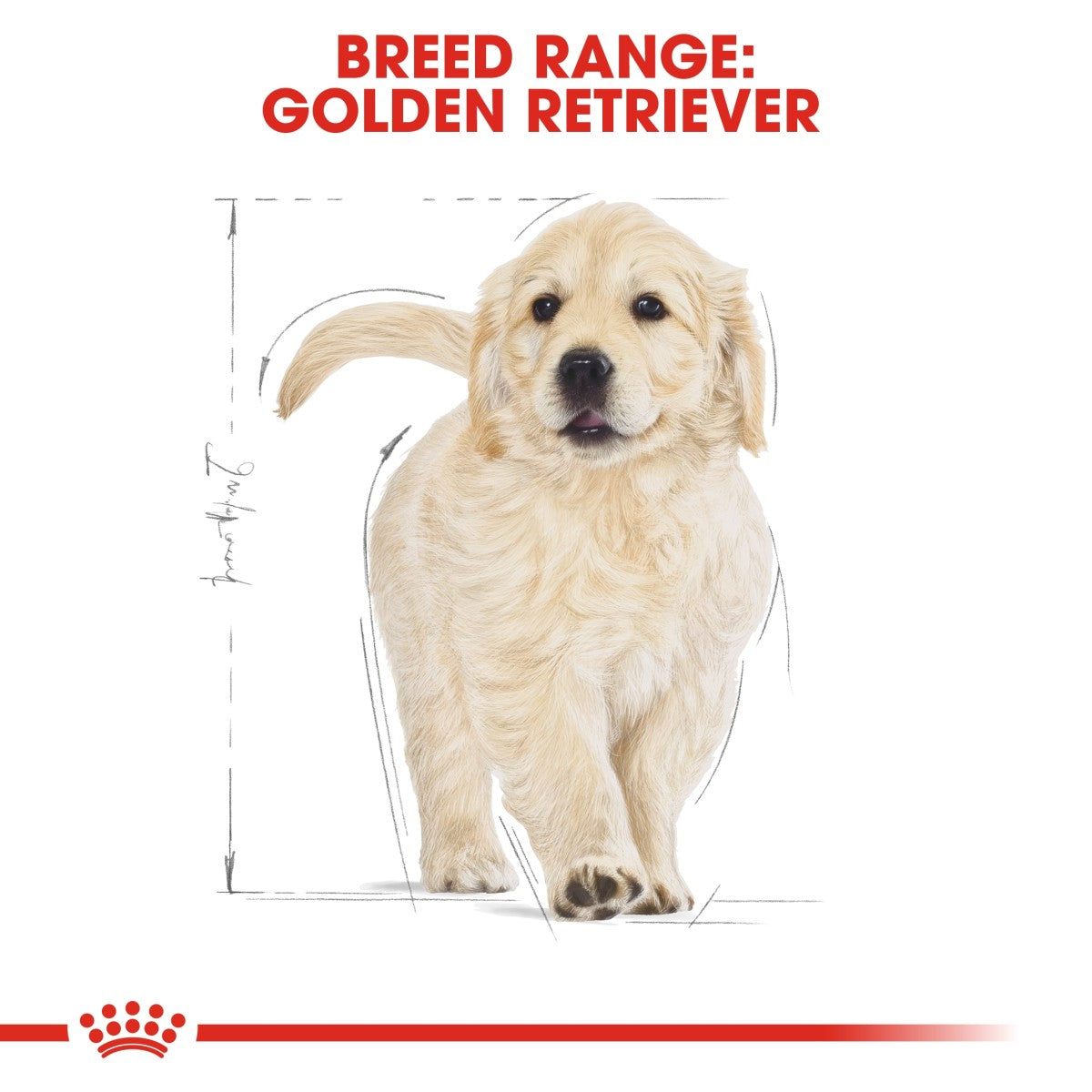 Royal Canin Breed Health Nutrition Golden Retriever Puppy 12 kg