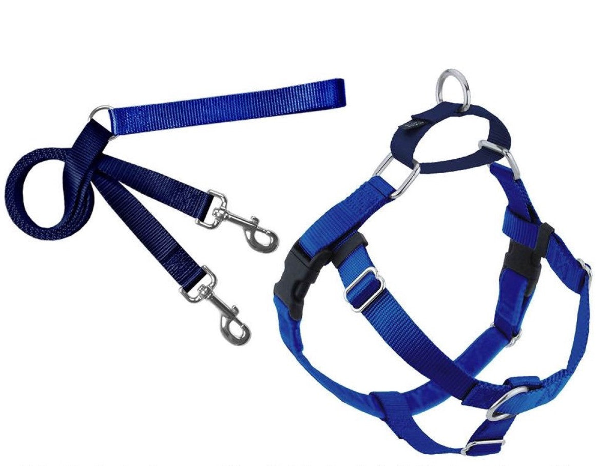 2 Hounds : Freedom No-Pull Harness and Leash - Royal Blue / Small 5/8"