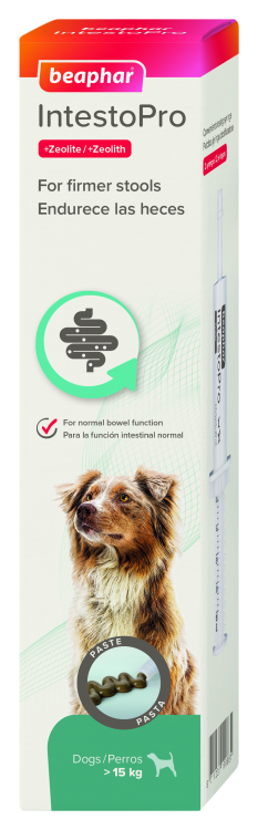 IntestoPro Anti Diarrhea Paste Syringe Small Dog & Cat 20 ml