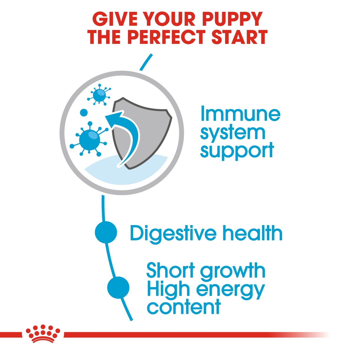 Royal Canin Size Health Nutrition Medium Puppy (Wet Food - Pouches) 10 x 140 g