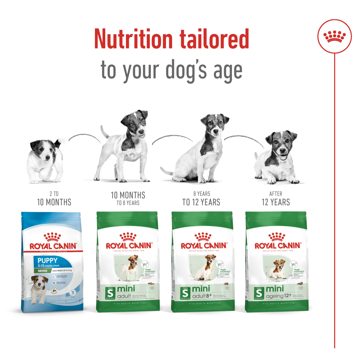 Royal Canin Size Health Nutrition Mini Adult 8+ 2 kg